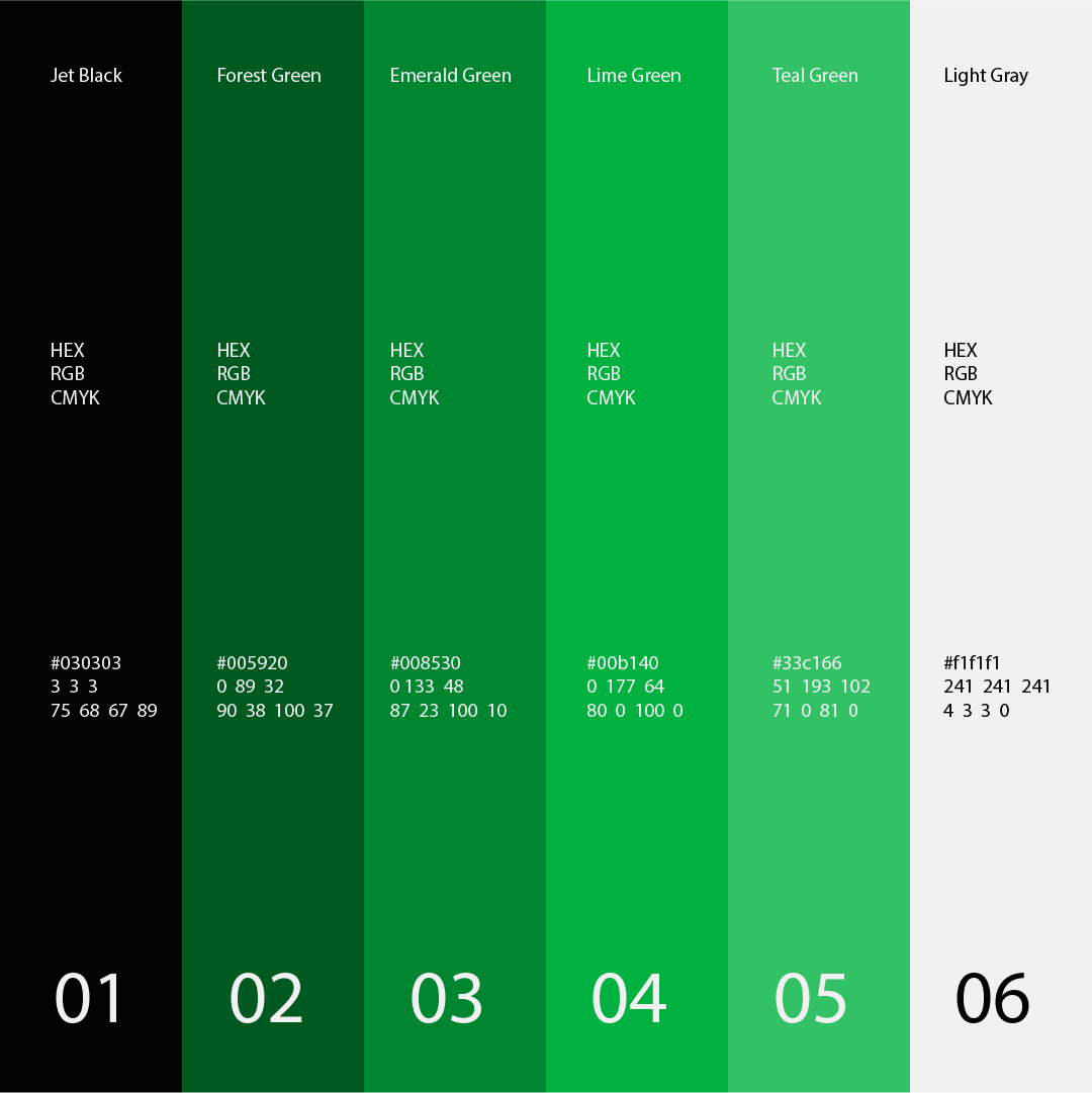 Momentum Brand Design